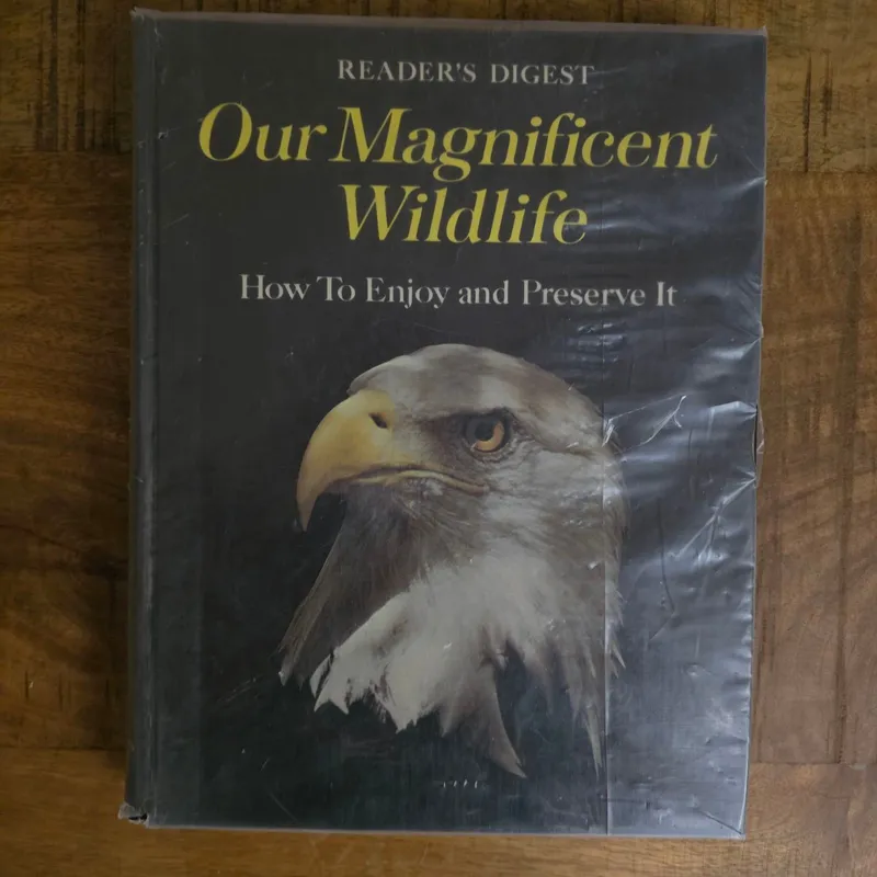 Our magnificent wildlife: how to enjoy and preserve it