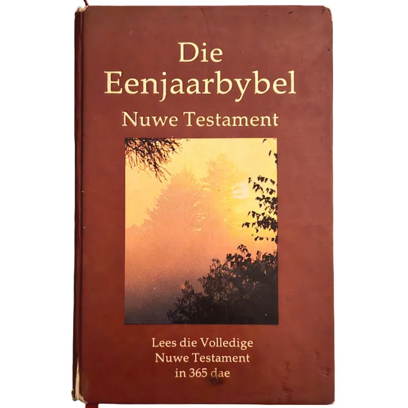 Die Eenjaarbybel