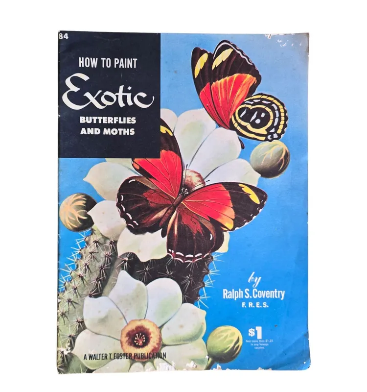 How to paint exotic butterflies and moths