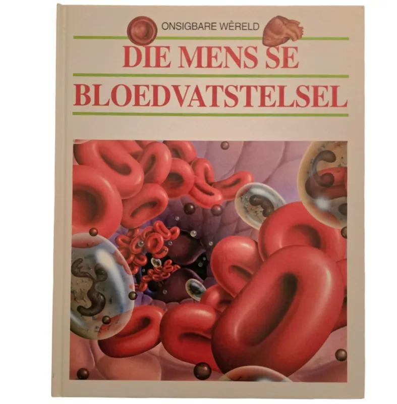 Die Mens se Bloedvatstelsel