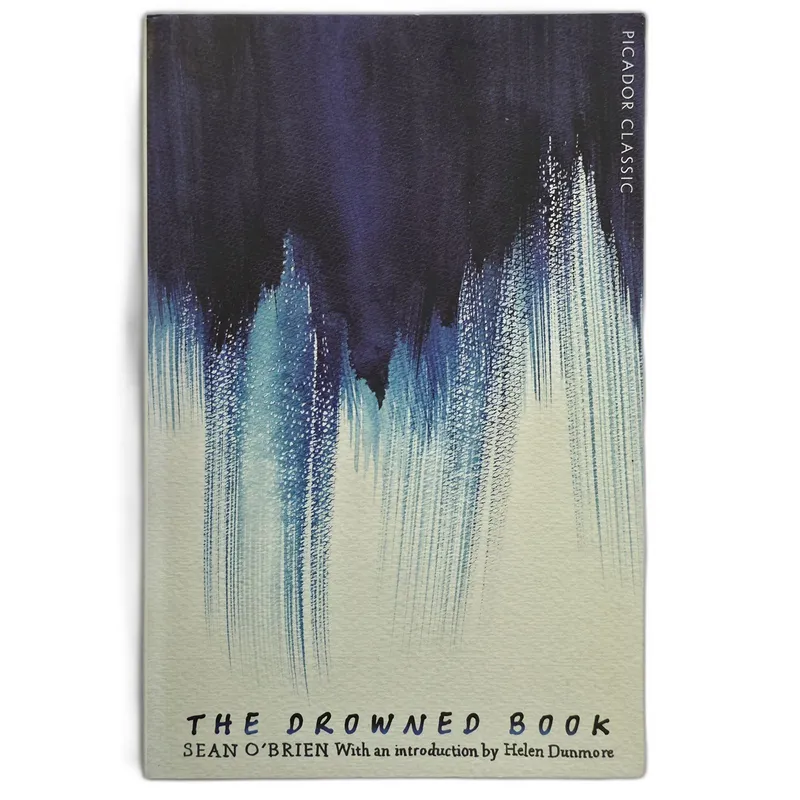 The Drowned Book