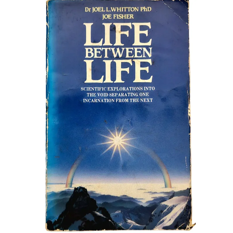 Life Between Life