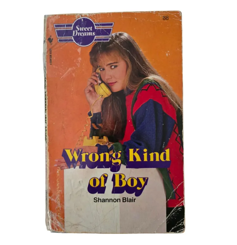 Sweet Dreams - Wrong Kind of Boy