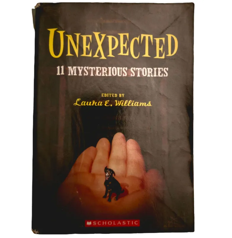 Unexpected: 11 Mysterious Stories