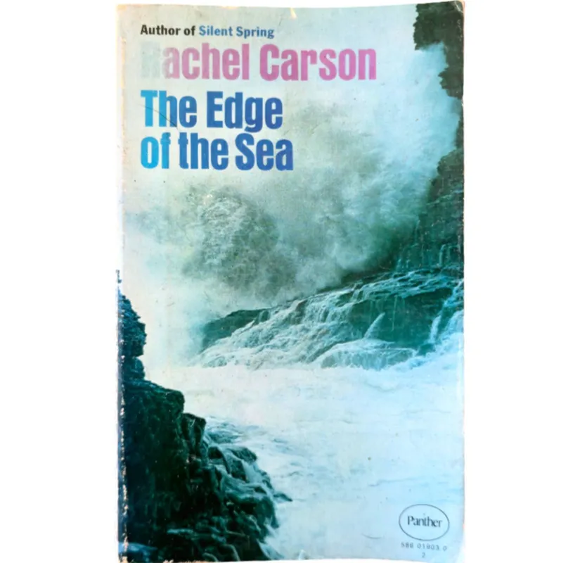 The Edge of the Sea