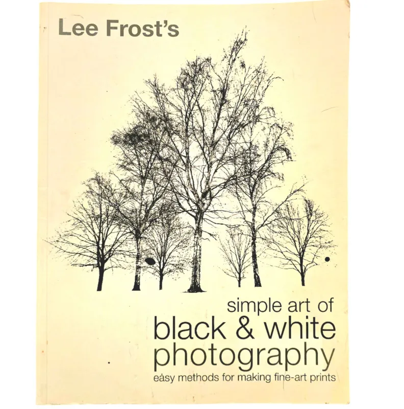 Simple Art of Black and White Photography