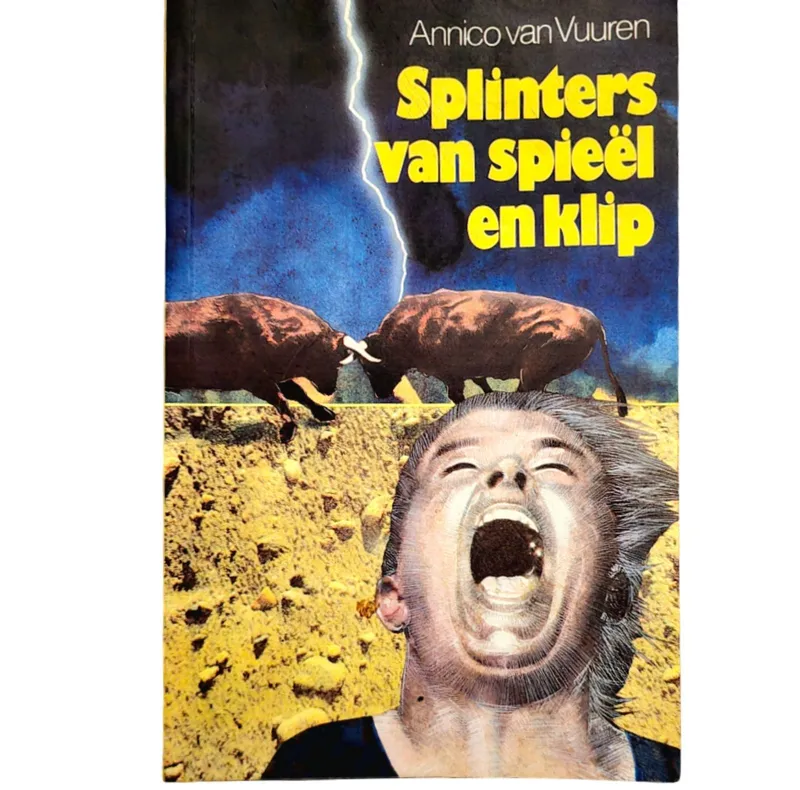 Splinters van Spieël en Klip