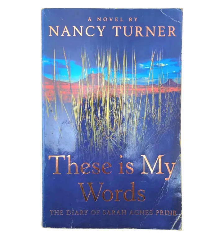 These is my words: The Diary of Sarah Agnes Prine