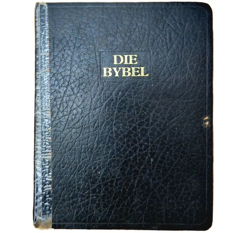 Die Bybel (Naslaan)