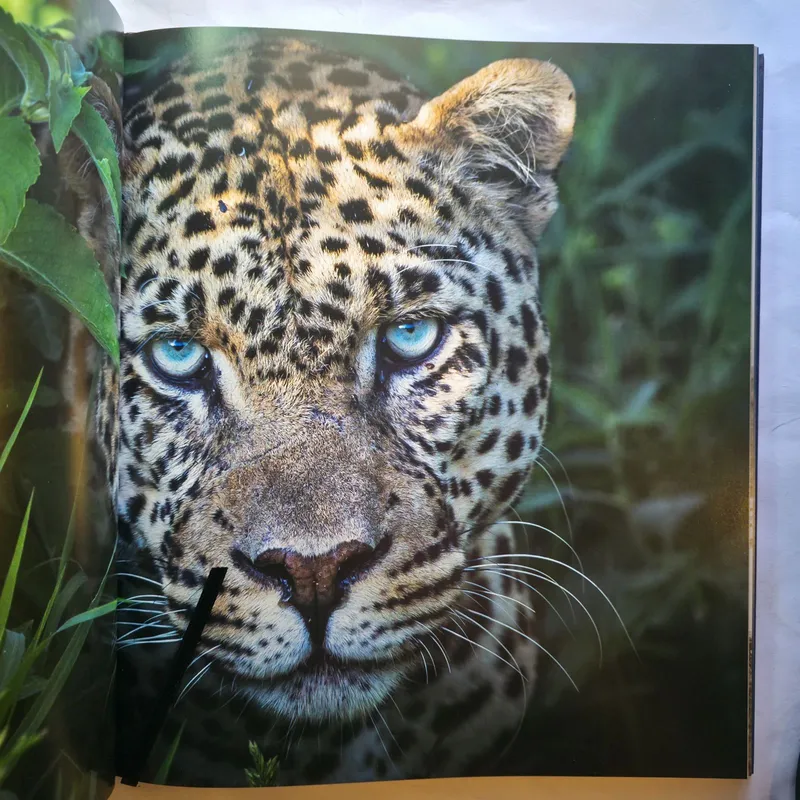 Gallery Thumbnail